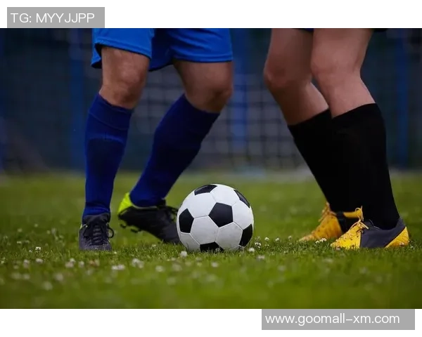 探索vpf足球的魅力与挑战如何改变现代足球的竞技格局与观赏体验